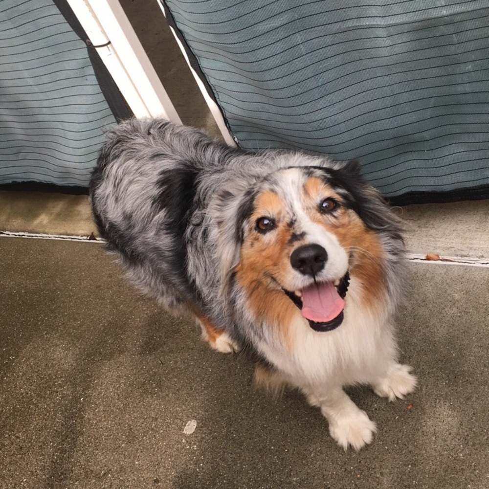 Meet your Posher, Aoife